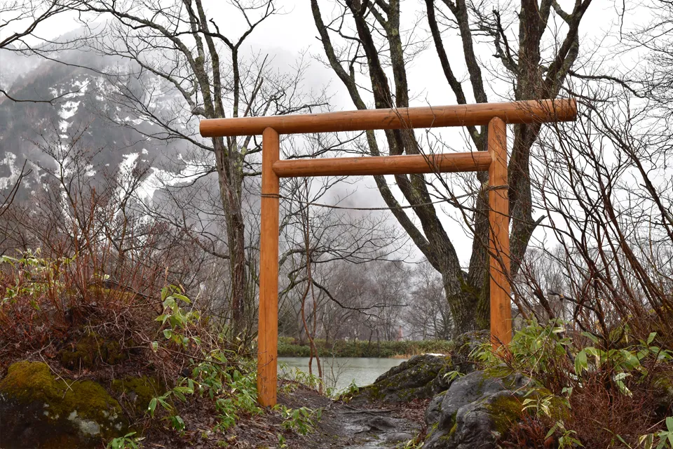 Parc aux singes au Japon